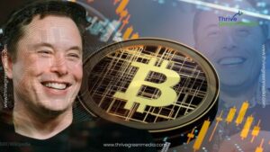 Read more about the article Elon Musk’s Bitcoin Trend and How it Affects Your Business