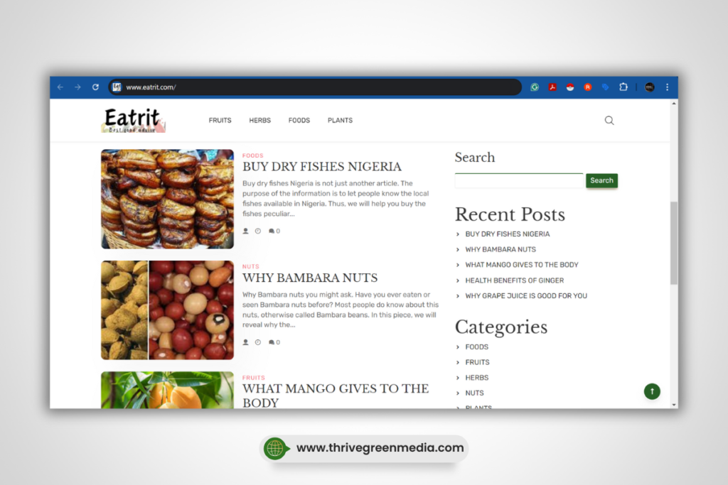 Blog Development Services in Nigeria